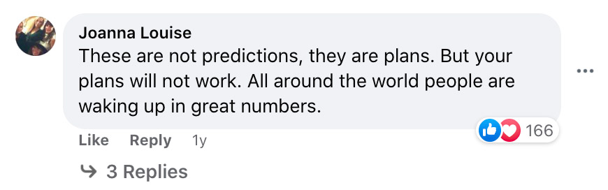 Facebook comment on the Great Reset